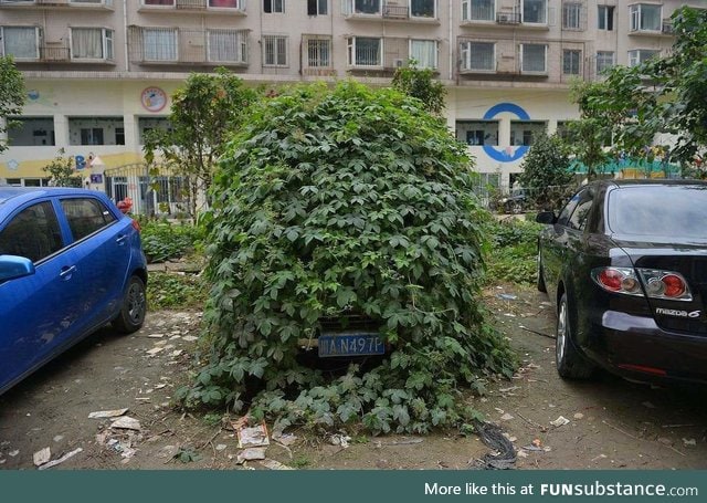 Abandoned car in Beijing