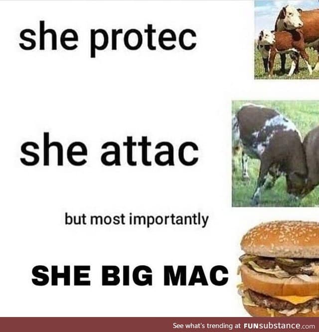 She protec