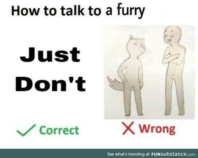 Proper Furry Communication Standards