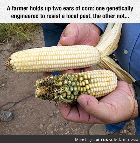The power of GMO