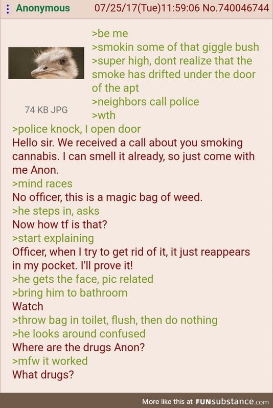 Anon bamboozles a cop