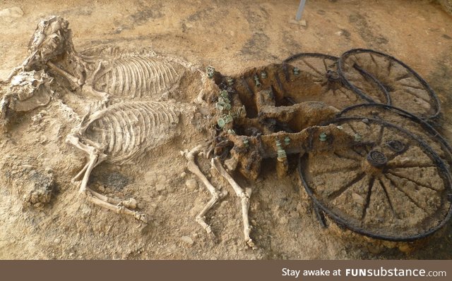 2,000-year-old Thracian chariot and horses found in Bulgaria