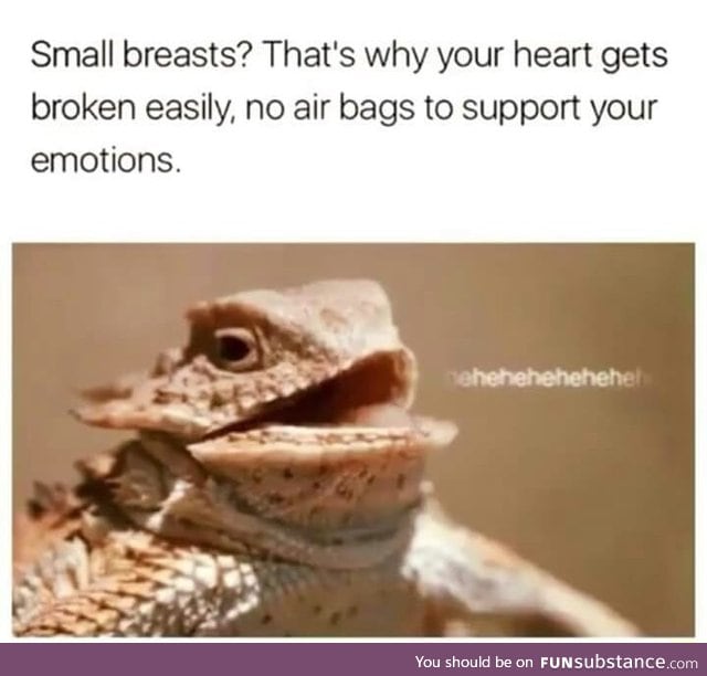 Small breasts leads to more heart break