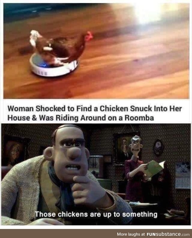 Those chickens