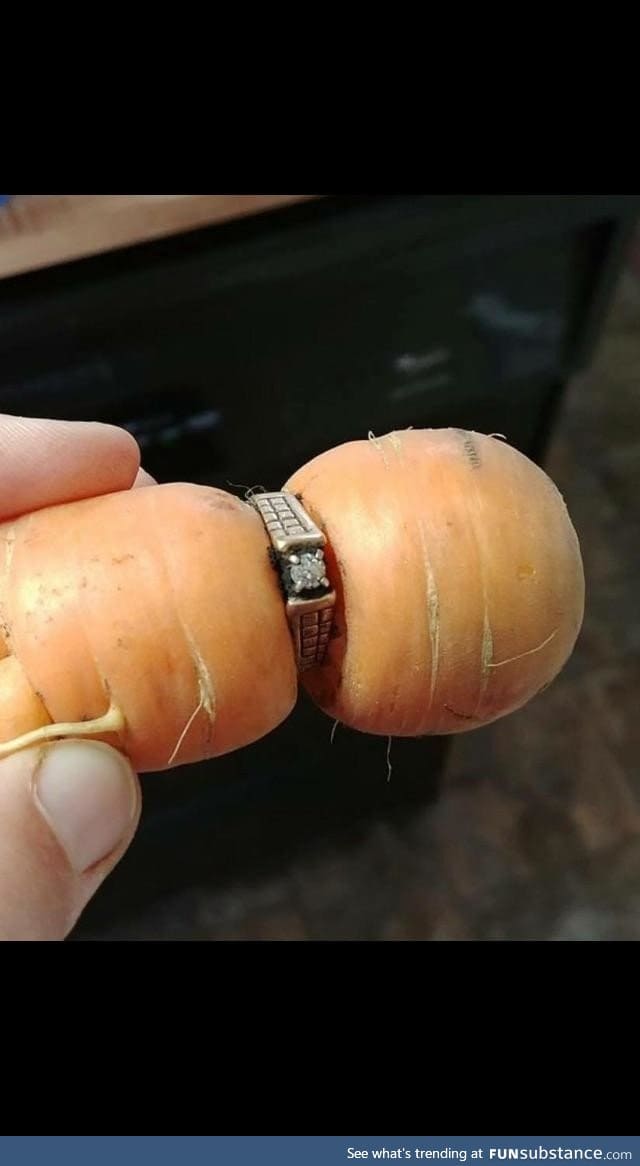 Diamond ring missing since 2004 turns up on garden carrot