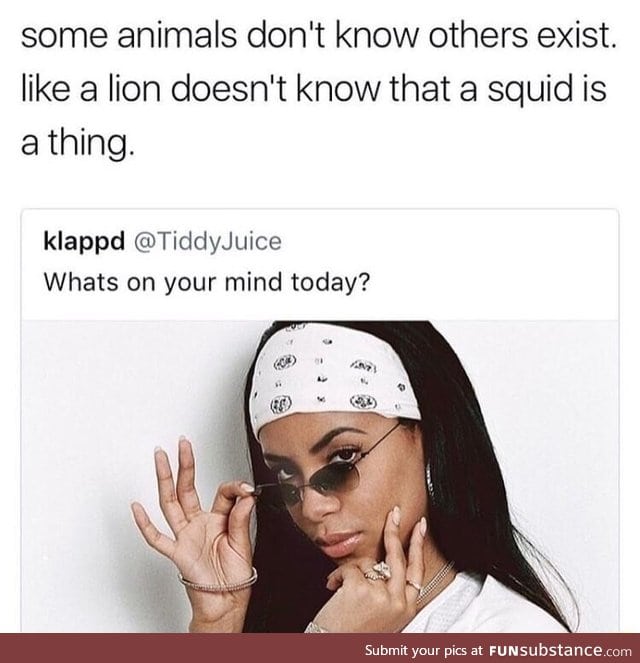 Animals don't know about the world