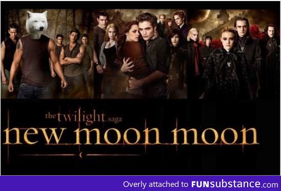 Twilight New Moon Moon