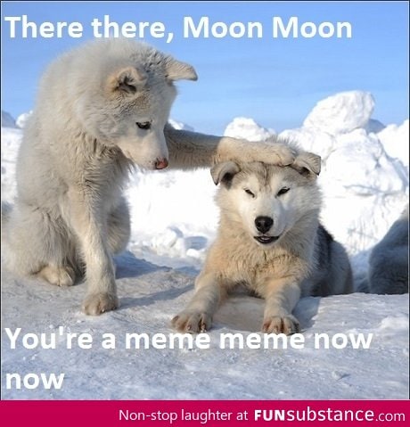 Moon Moon is a Meme Meme