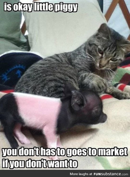 Don't Worry Piggy