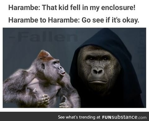 This being the last decision harambe ever made