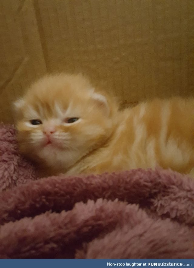 He is 2 weeks old and already sick of my shit