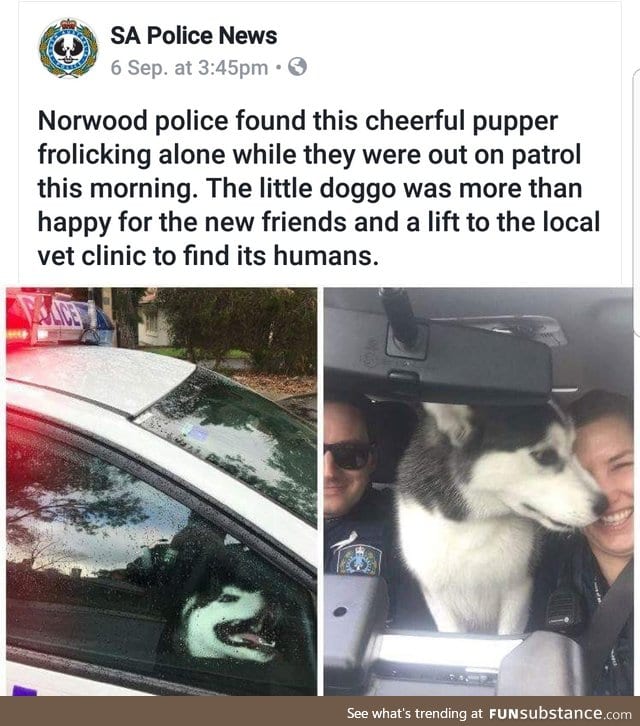 Police is cool