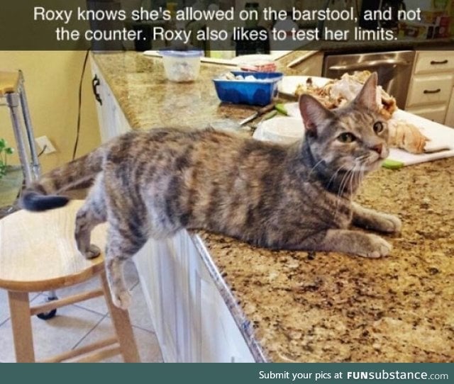 Roxy is a smart girl