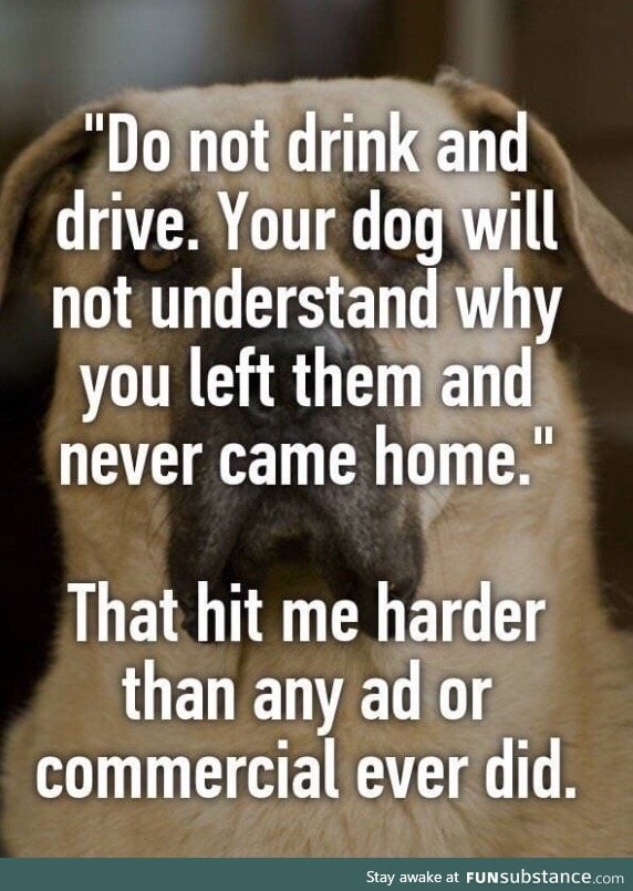 NEVER drink and drive
