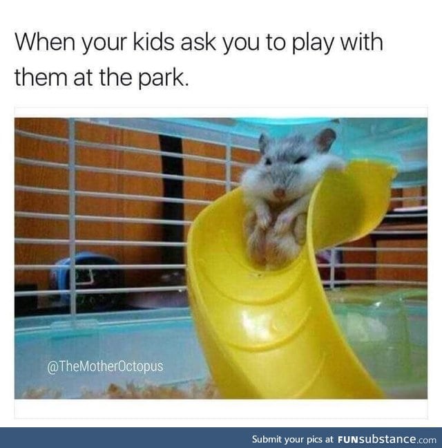 Playground is ageist