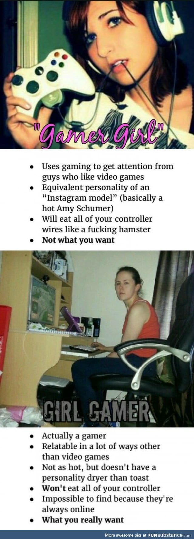 Gamer girl vs girl gamer
