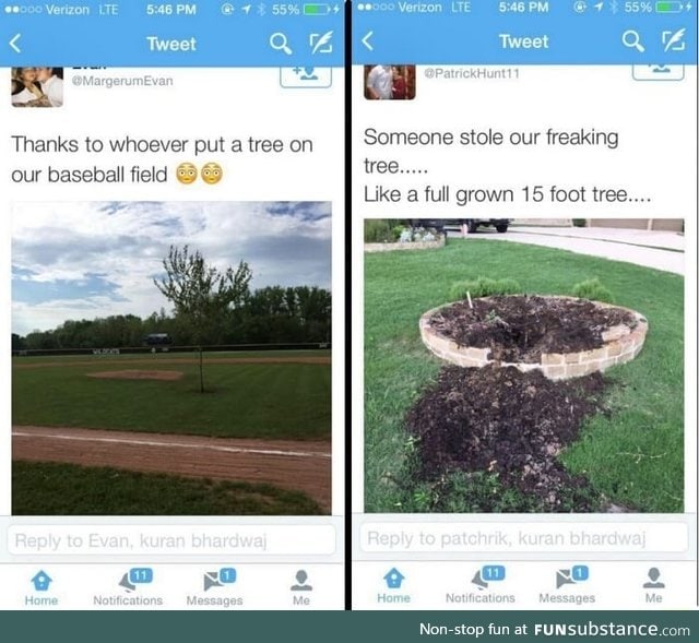 Maybe the tree was just walking around