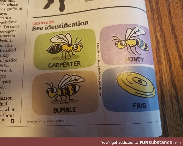 The best type of bees