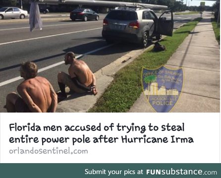 Florida Man finds a friend