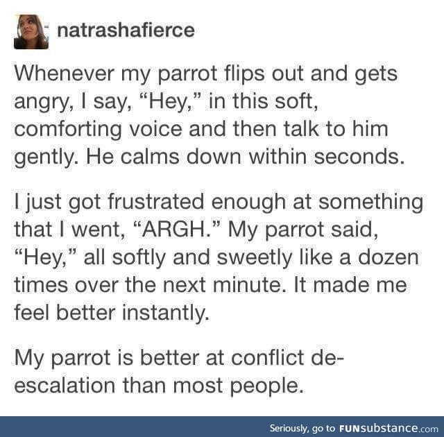 That's a good parrot