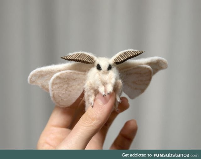 Venezuelan Poodle Moth - A newly discover species