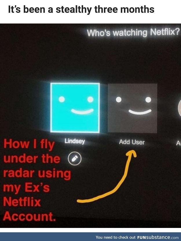 How to secretly use Netflix