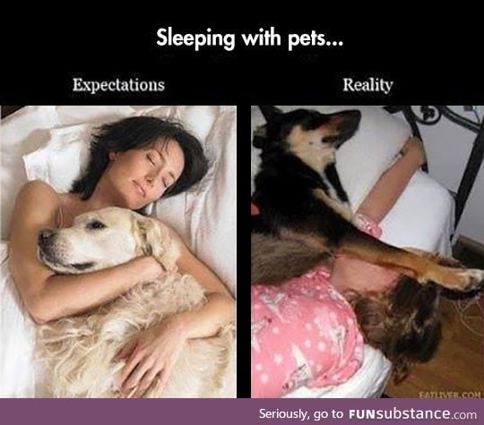 Sleeping with my pets