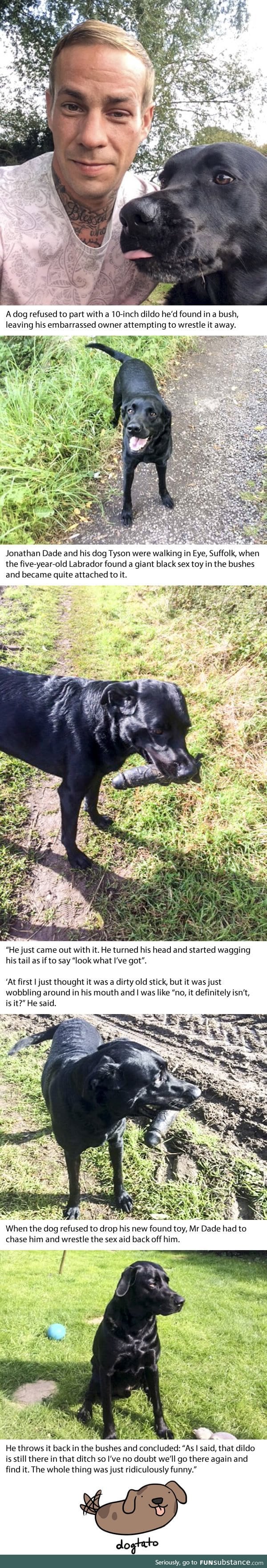 Dog finds massive 10-inch d*ldo in park and refuses to let it go