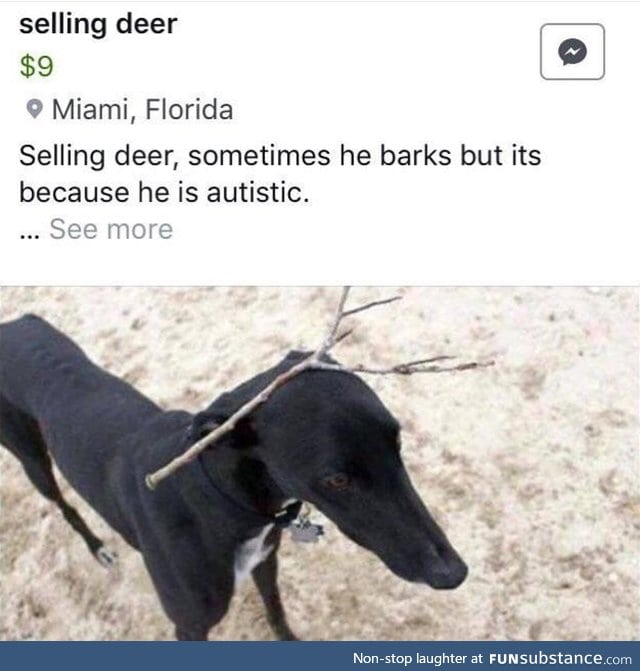 Autistic Deer