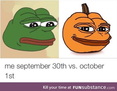 I not a pumpkin but relatable
