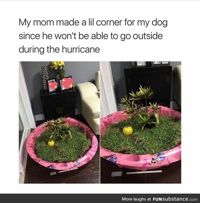 Like outdoor corner for the dog