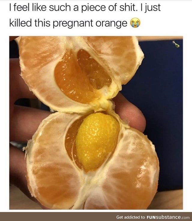 Pregnant orange