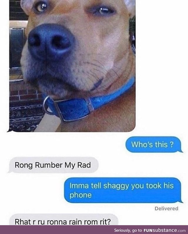 Shaggy lost his phone