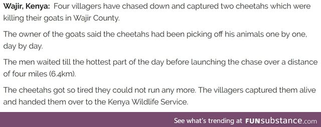 Only in Kenya can men chase and catch the fastest land mammal