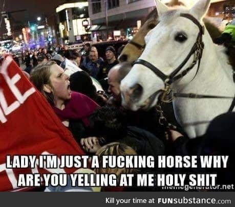 Innocent horse