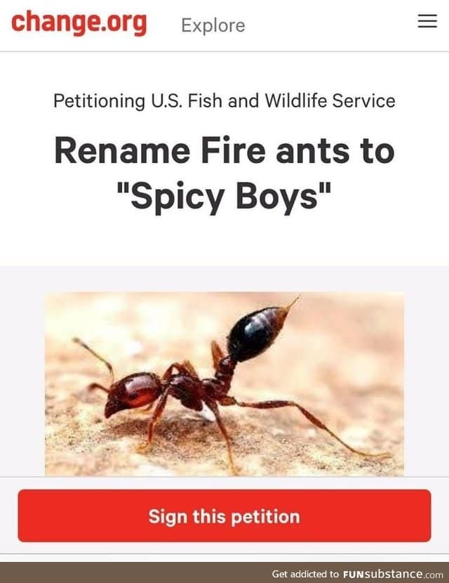 Rename fire ants to Spicy Boys