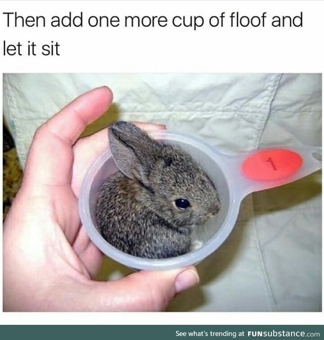 A cup of floof