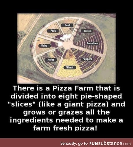 Imagine a giant pizza