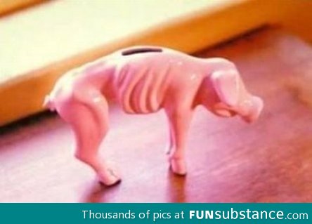 Piggy bank for college students