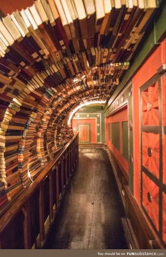 This hallway of books