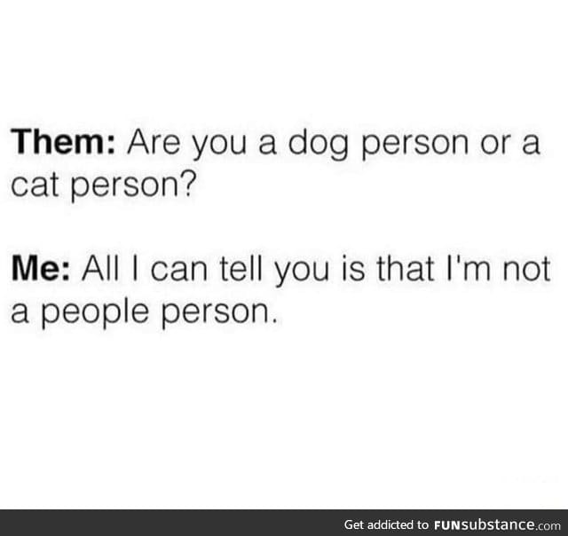 Dog or cat person