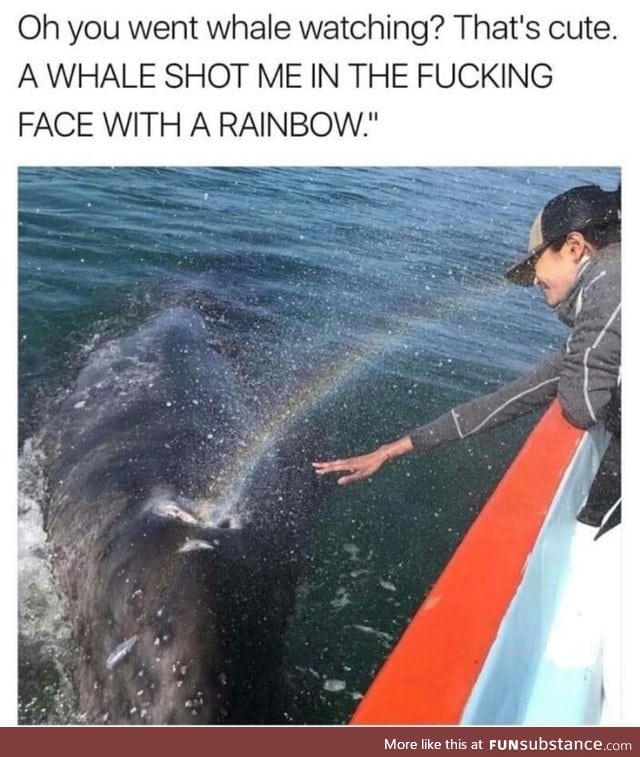 Blessed by a whale