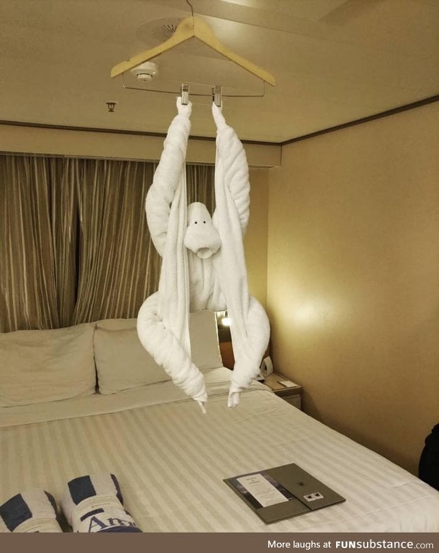 This towel art in a cruise ship cabin