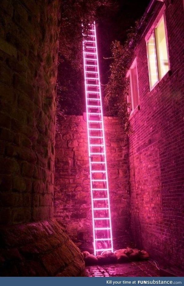 Neon ladder