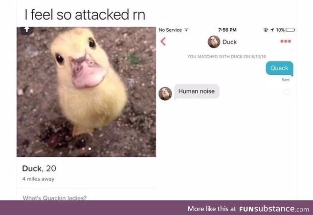 Matched with a duck