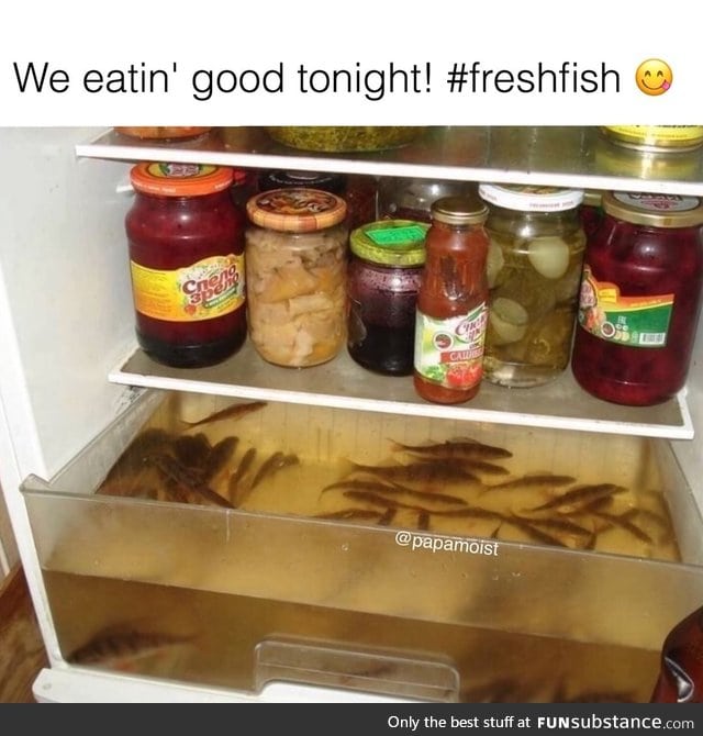 Keep the fish fresh