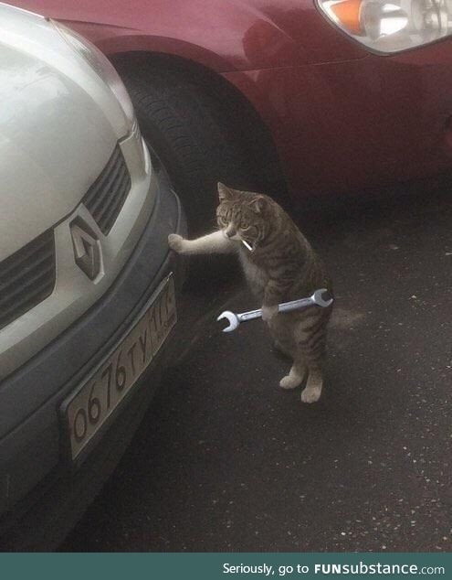 Alright, let's get that engine purrin again