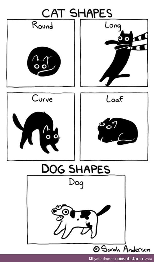 All shapes are beautiful