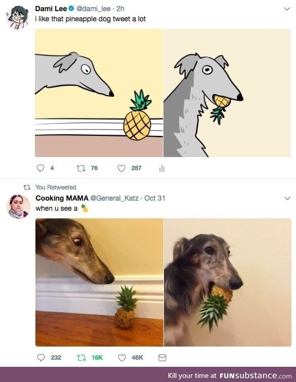 Pineapple dog tweet