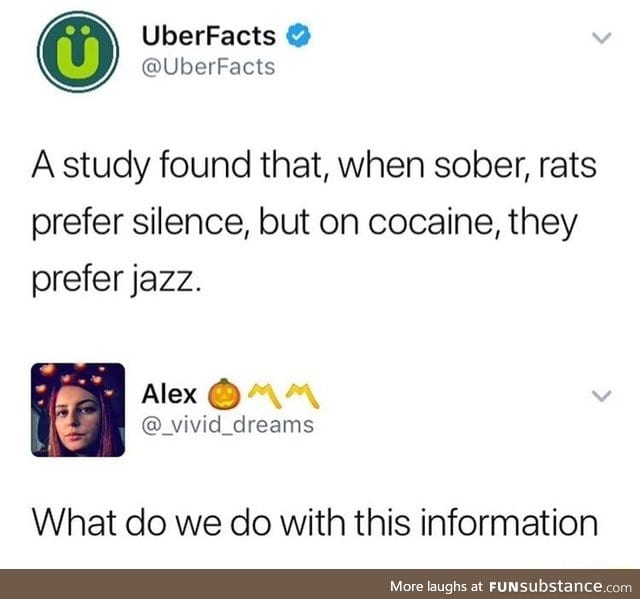 Bring a rat to a jazz party